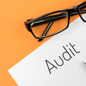 hr-audit-scaled hr-audit-scaled